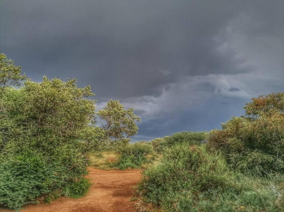 Hackberry House Black Thorn Cottage, Off Grid Khemsbok ภายนอก รูปภาพ